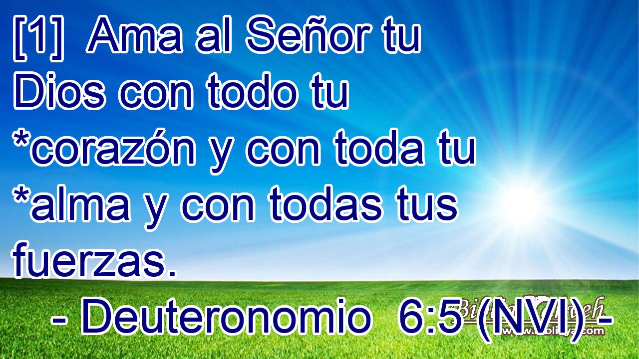  [1]  Ama al Señor tu Dios con todo tu *corazón y con toda tu *alma y con todas tus fuerzas. 