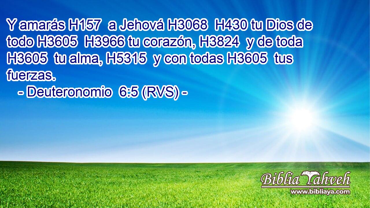 Y amarás H157  a Jehová H3068  H430 tu Dios de todo H3605  H3966 tu corazón, H3824  y de toda H3605  tu alma, H5315  y con todas H3605  tus fuerzas. 
