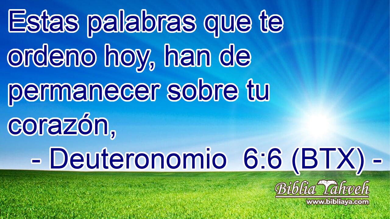 Estas palabras que te ordeno hoy, han de permanecer sobre tu corazón,