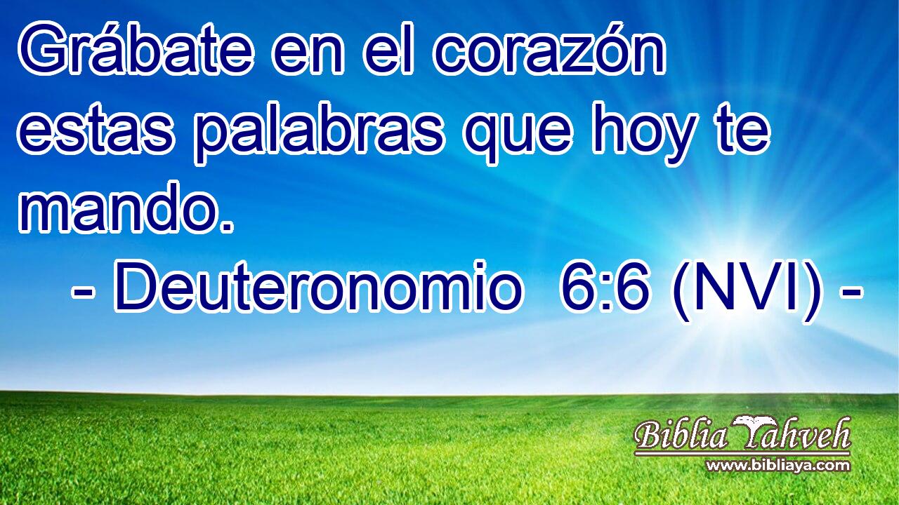  Grábate en el corazón estas palabras que hoy te mando. 