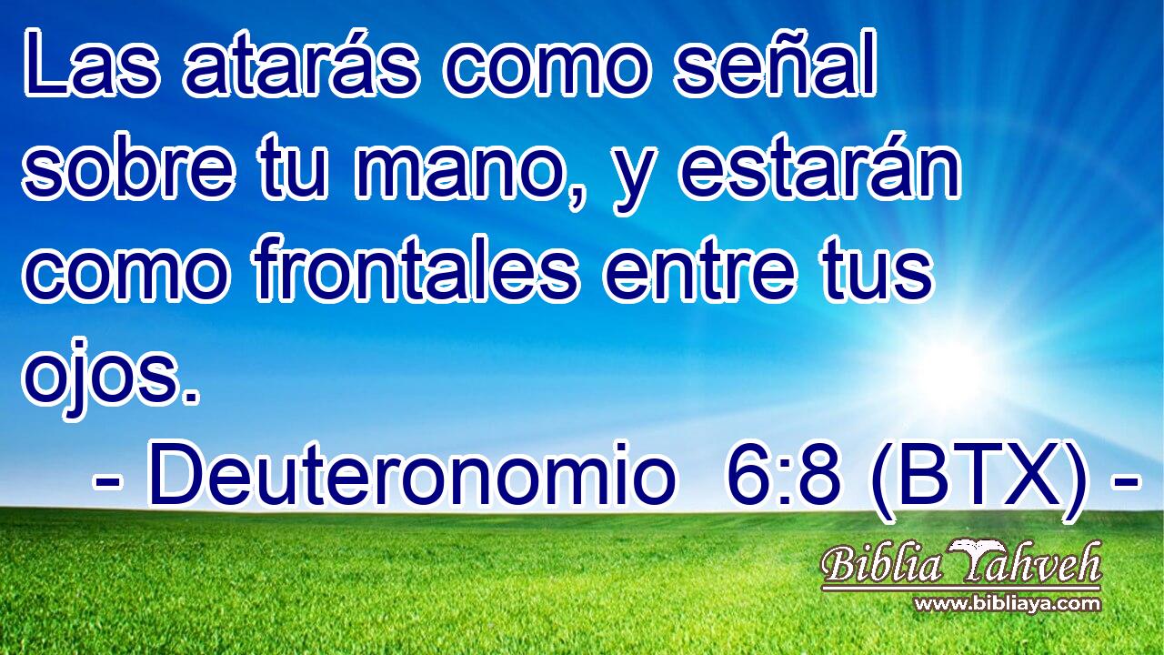 Las atarás como señal sobre tu mano, y estarán como frontales entre tus ojos.