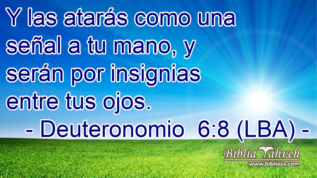 Y las atarás como una señal a tu mano, y serán por insignias entre tus ojos.