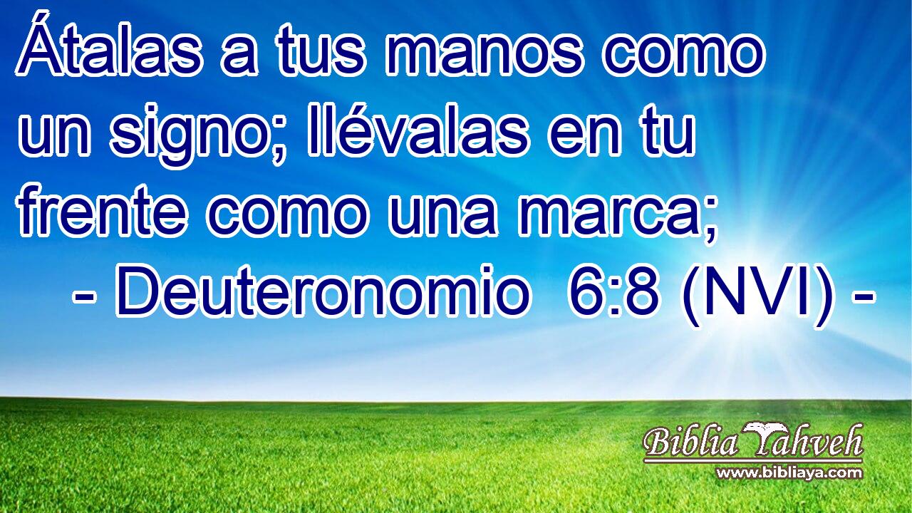  Átalas a tus manos como un signo; llévalas en tu frente como una marca; 