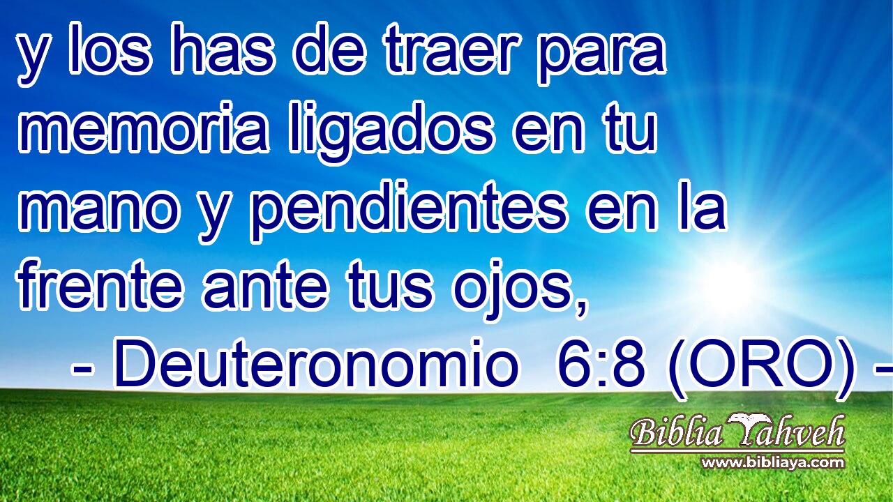  y los has de traer para memoria ligados en tu mano y pendientes en la frente ante tus ojos, 