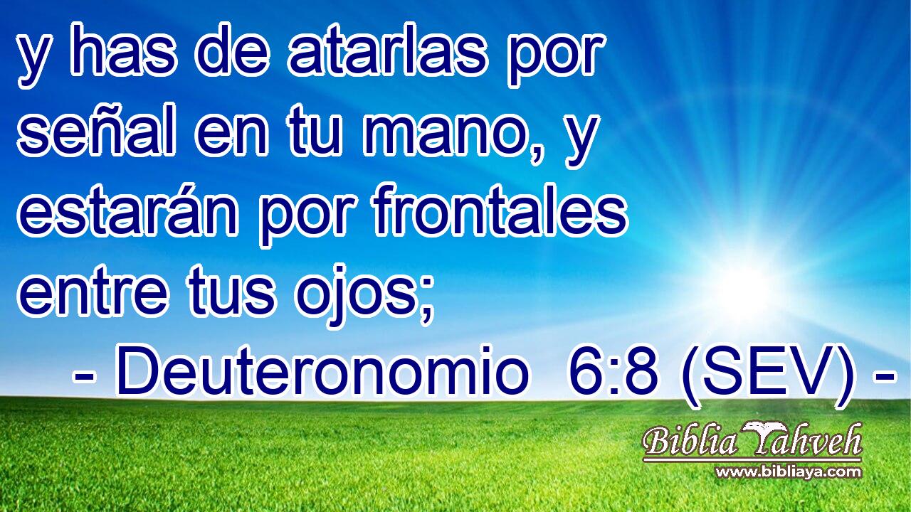 y has de atarlas por señal en tu mano, y estarán por frontales entre tus ojos;