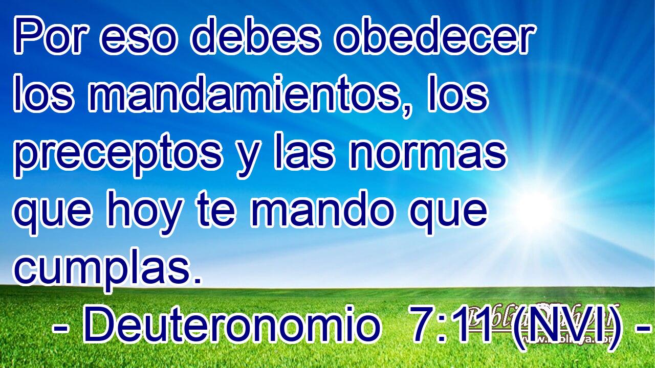  Por eso debes obedecer los mandamientos, los preceptos y las normas que hoy te mando que cumplas. 