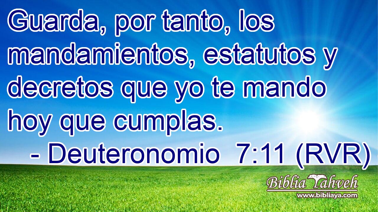 Guarda, por tanto, los mandamientos, estatutos y decretos que yo te mando hoy que cumplas.