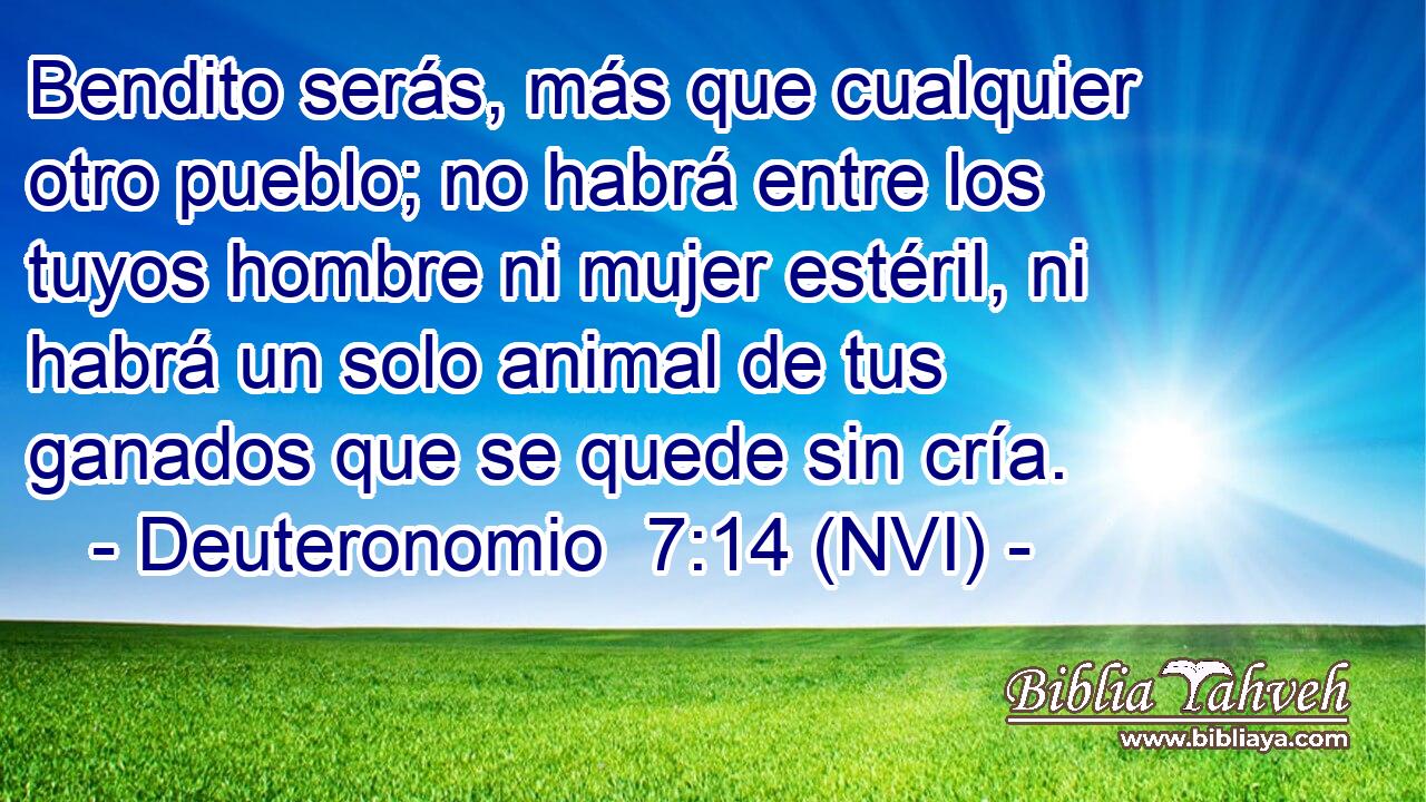  Bendito serás, más que cualquier otro pueblo; no habrá entre los tuyos hombre ni mujer estéril, ni habrá un solo animal de tus ganados que se quede sin cría. 
