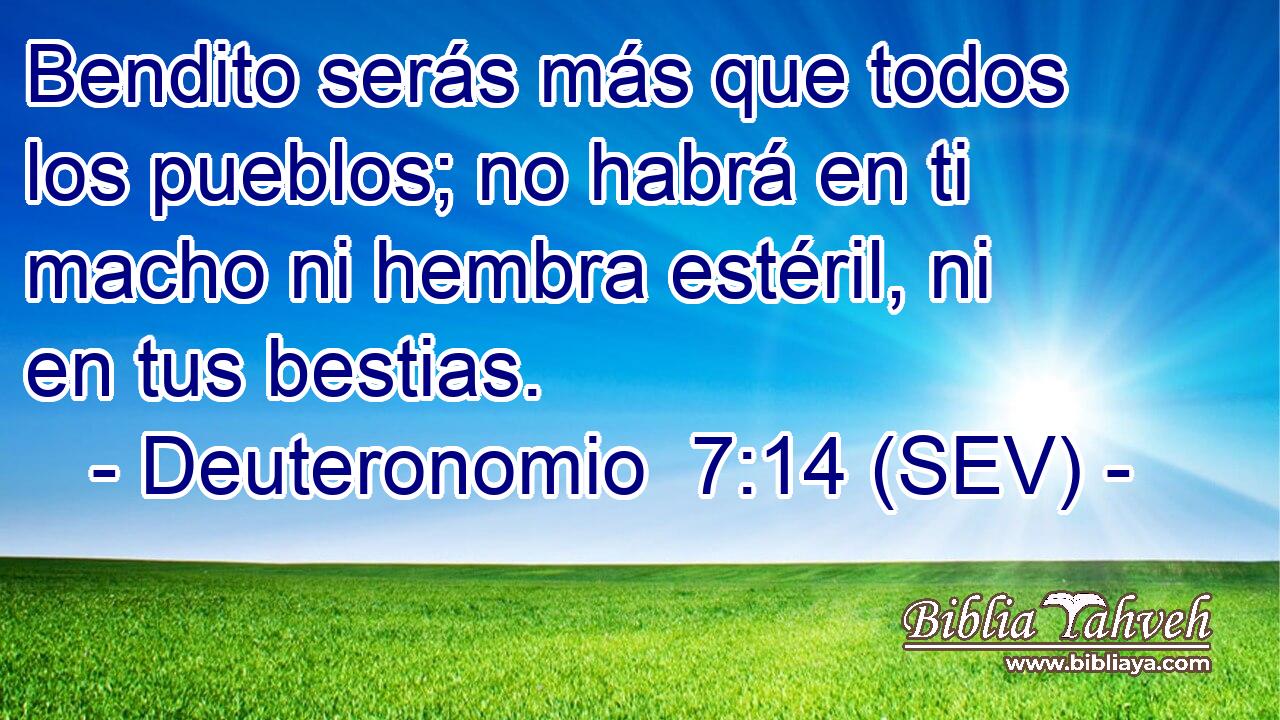 Bendito serás más que todos los pueblos; no habrá en ti macho ni hembra estéril, ni en tus bestias.