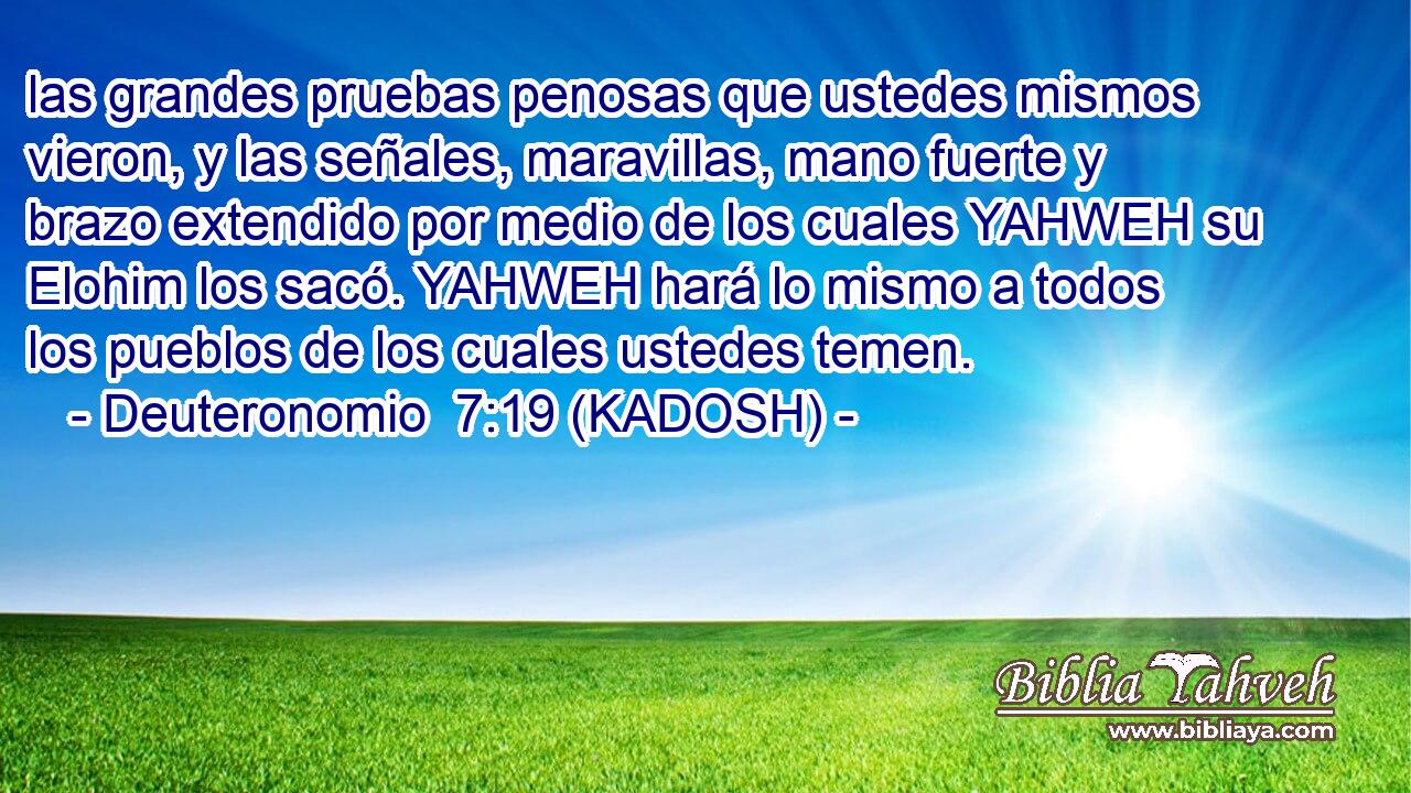  las grandes pruebas penosas que ustedes mismos vieron, y las señales, maravillas, mano fuerte y brazo extendido por medio de los cuales YAHWEH su Elohim los sacó. YAHWEH hará lo mismo a todos los pueblos de los cuales ustedes temen. 