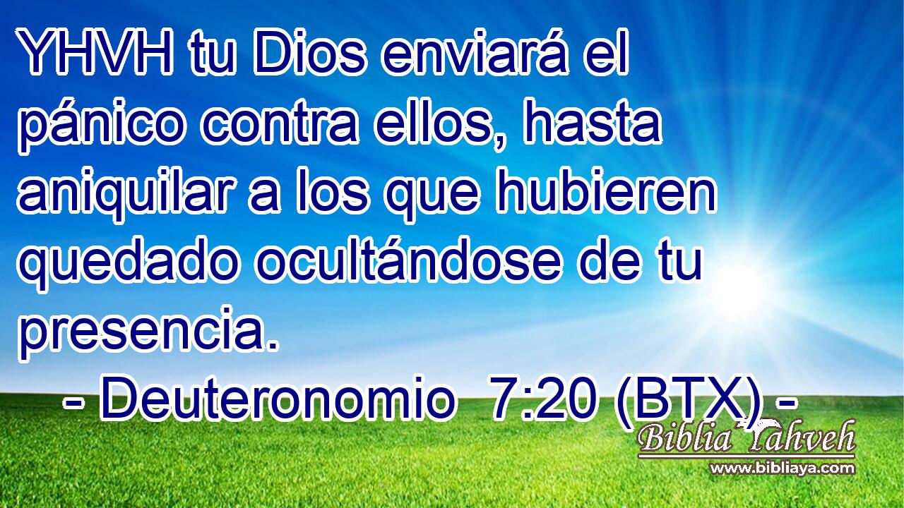 YHVH tu Dios enviará el pánico contra ellos, hasta aniquilar a los que hubieren quedado ocultándose de tu presencia.