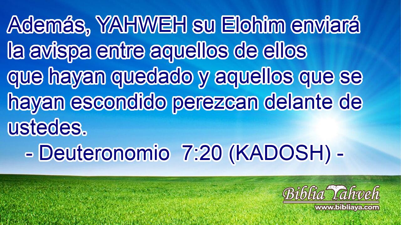  Además, YAHWEH su Elohim enviará la avispa entre aquellos de ellos que hayan quedado y aquellos que se hayan escondido perezcan delante de ustedes. 