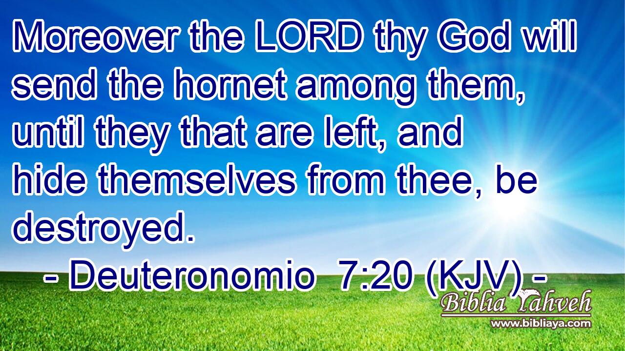 Moreover the LORD thy God will send the hornet among them, until they that are left, and hide themselves from thee, be destroyed.