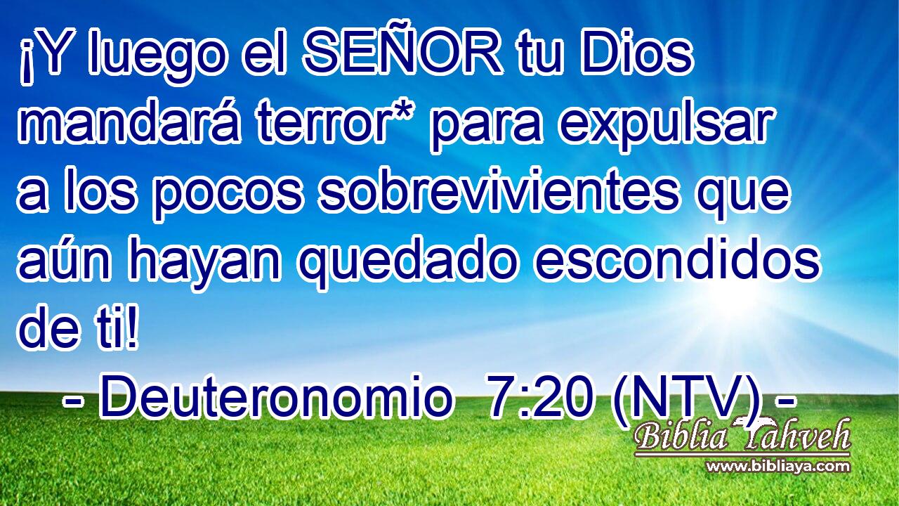 ¡Y luego el SEÑOR tu Dios mandará terror* para expulsar a los pocos sobrevivientes que aún hayan quedado escondidos de ti!