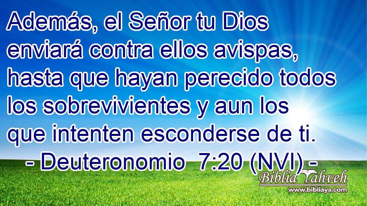  Además, el Señor tu Dios enviará contra ellos avispas, hasta que hayan perecido todos los sobrevivientes y aun los que intenten esconderse de ti. 
