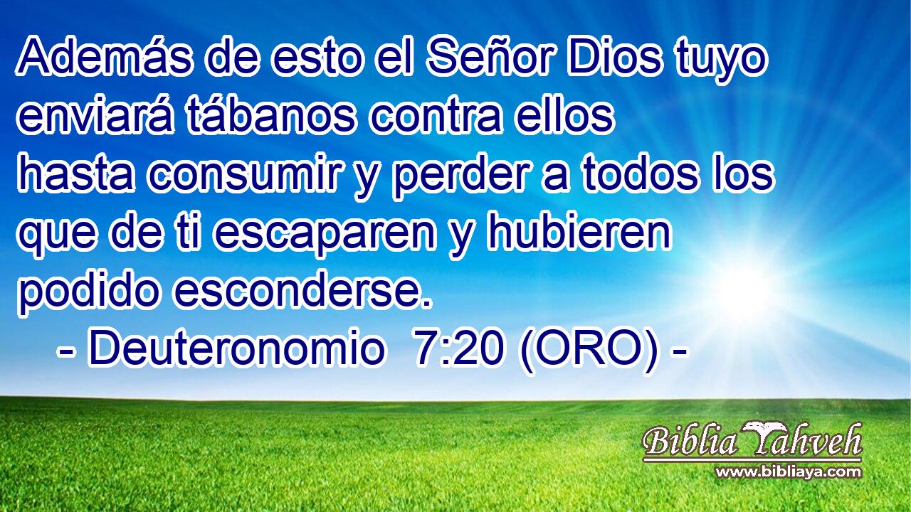 Además de esto el Señor Dios tuyo enviará tábanos contra ellos hasta consumir y perder a todos los que de ti escaparen y hubieren podido esconderse. 