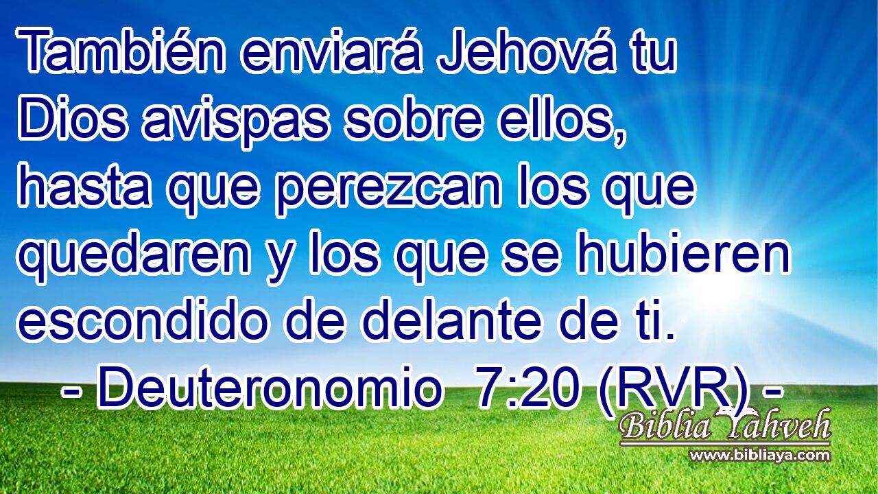 También enviará Jehová tu Dios avispas sobre ellos, hasta que perezcan los que quedaren y los que se hubieren escondido de delante de ti.