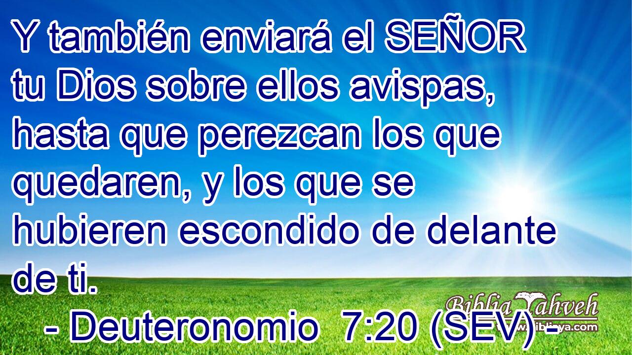 Y también enviará el SEÑOR tu Dios sobre ellos avispas, hasta que perezcan los que quedaren, y los que se hubieren escondido de delante de ti.