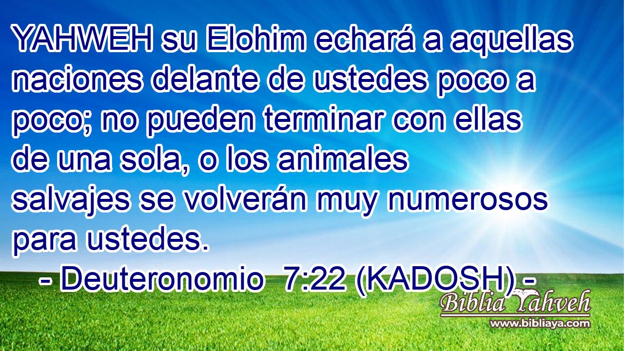  YAHWEH su Elohim echará a aquellas naciones delante de ustedes poco a poco; no pueden terminar con ellas de una sola, o los animales salvajes se volverán muy numerosos para ustedes. 