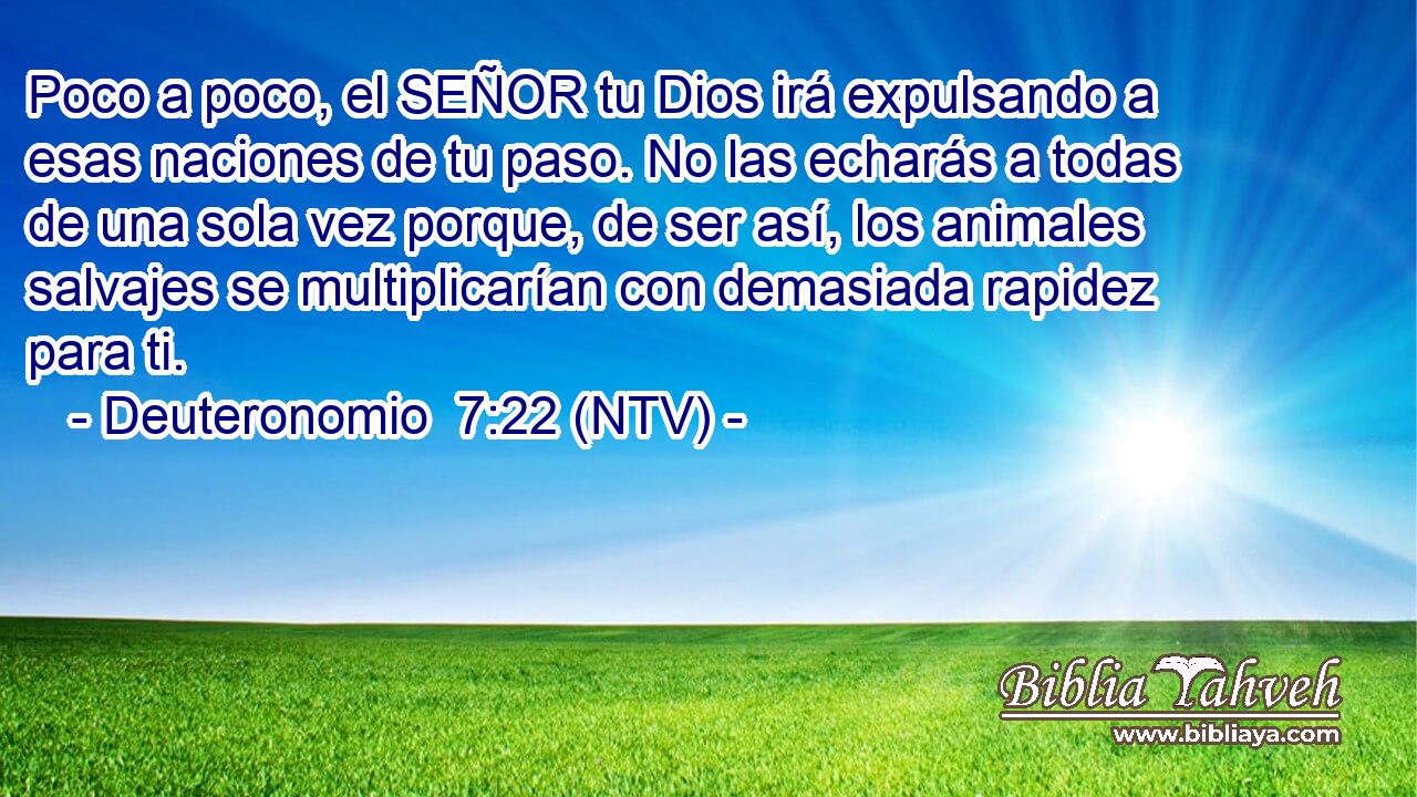 Poco a poco, el SEÑOR tu Dios irá expulsando a esas naciones de tu paso. No las echarás a todas de una sola vez porque, de ser así, los animales salvajes se multiplicarían con demasiada rapidez para ti.