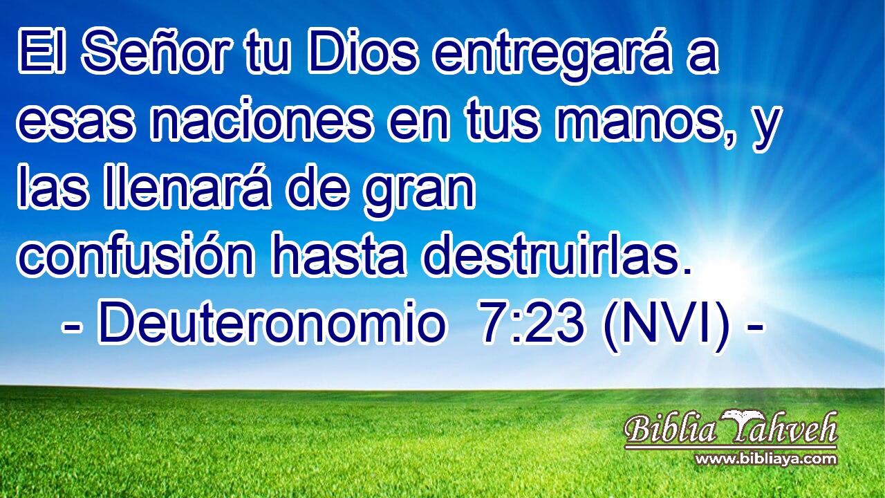  El Señor tu Dios entregará a esas naciones en tus manos, y las llenará de gran confusión hasta destruirlas. 