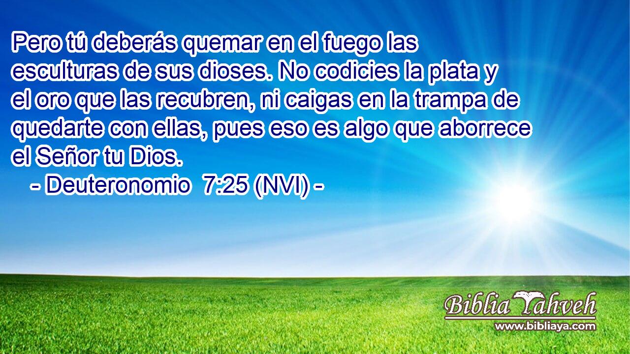  Pero tú deberás quemar en el fuego las esculturas de sus dioses. No codicies la plata y el oro que las recubren, ni caigas en la trampa de quedarte con ellas, pues eso es algo que aborrece el Señor tu Dios. 