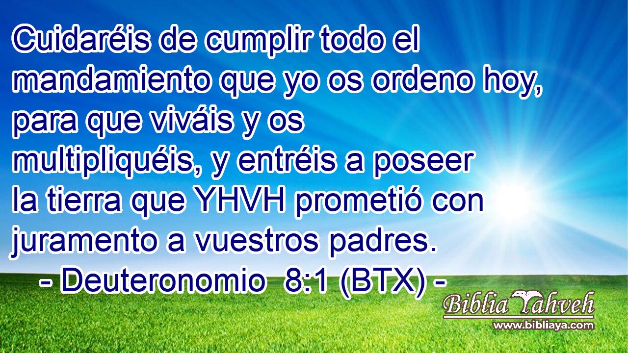 Cuidaréis de cumplir todo el mandamiento que yo os ordeno hoy, para que viváis y os multipliquéis, y entréis a poseer la tierra que YHVH prometió con juramento a vuestros padres.