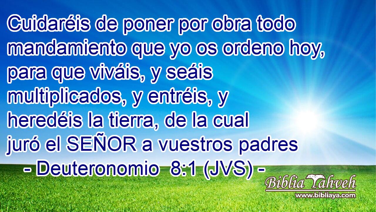 Cuidaréis de poner por obra todo mandamiento que yo os ordeno hoy, para que viváis, y seáis multiplicados, y entréis, y heredéis la tierra, de la cual juró el SEÑOR a vuestros padres