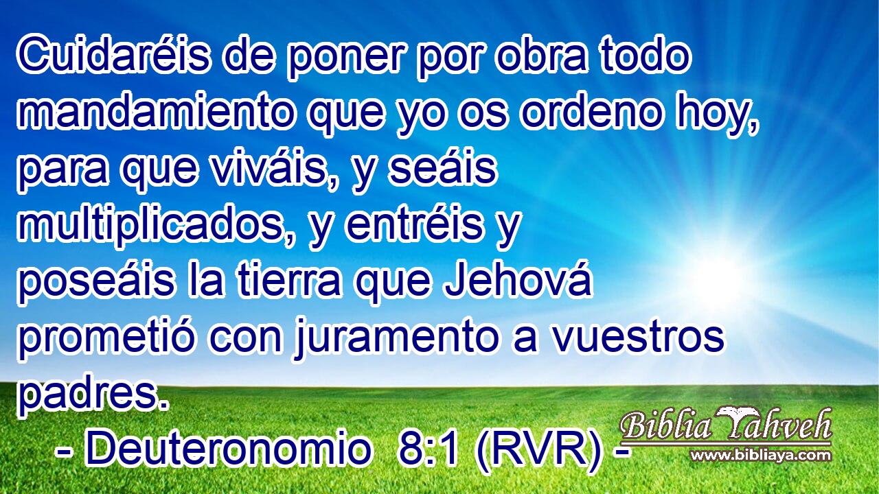 Cuidaréis de poner por obra todo mandamiento que yo os ordeno hoy, para que viváis, y seáis multiplicados, y entréis y poseáis la tierra que Jehová prometió con juramento a vuestros padres.