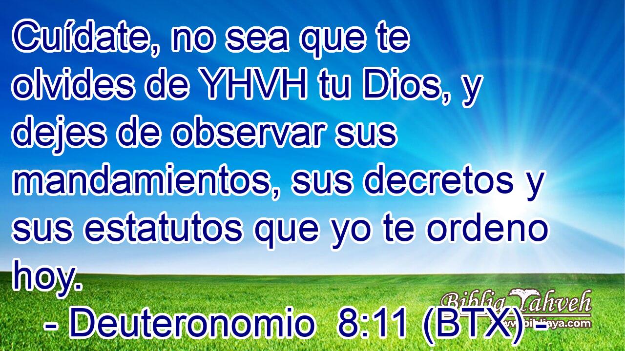 Cuídate, no sea que te olvides de YHVH tu Dios, y dejes de observar sus mandamientos, sus decretos y sus estatutos que yo te ordeno hoy.
