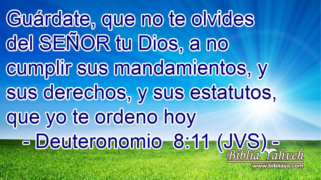 Guárdate, que no te olvides del SEÑOR tu Dios, a no cumplir sus mandamientos, y sus derechos, y sus estatutos, que yo te ordeno hoy