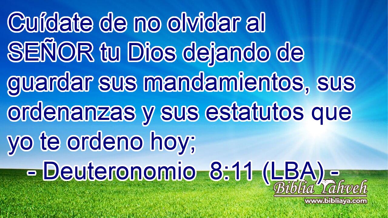 Cuídate de no olvidar al SEÑOR tu Dios dejando de guardar sus mandamientos, sus ordenanzas y sus estatutos que yo te ordeno hoy;