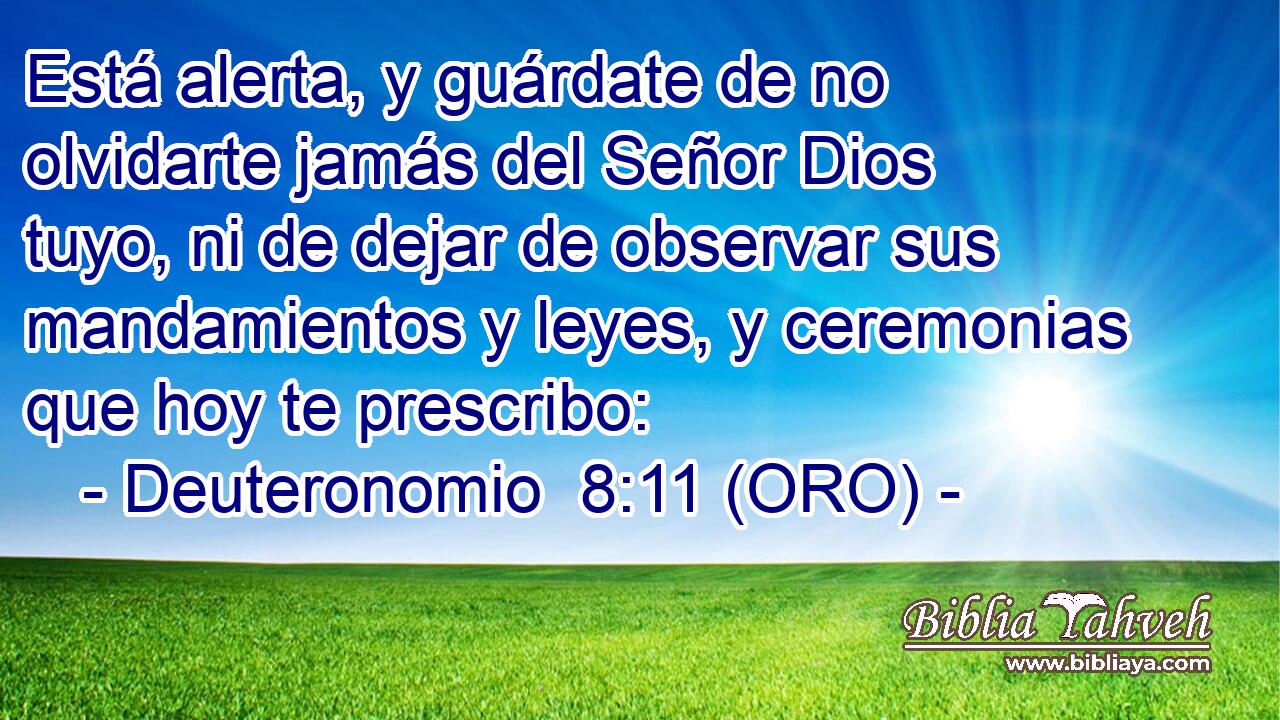  Está alerta, y guárdate de no olvidarte jamás del Señor Dios tuyo, ni de dejar de observar sus mandamientos y leyes, y ceremonias que hoy te prescribo: 