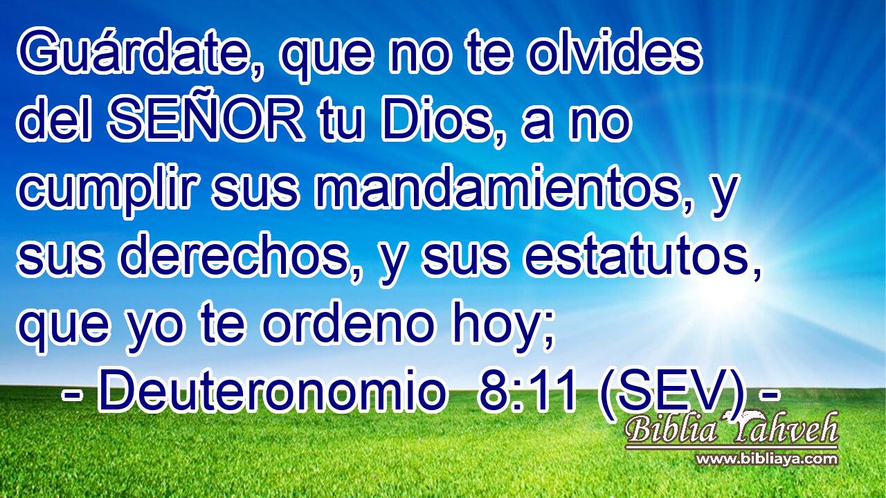 Guárdate, que no te olvides del SEÑOR tu Dios, a no cumplir sus mandamientos, y sus derechos, y sus estatutos, que yo te ordeno hoy;