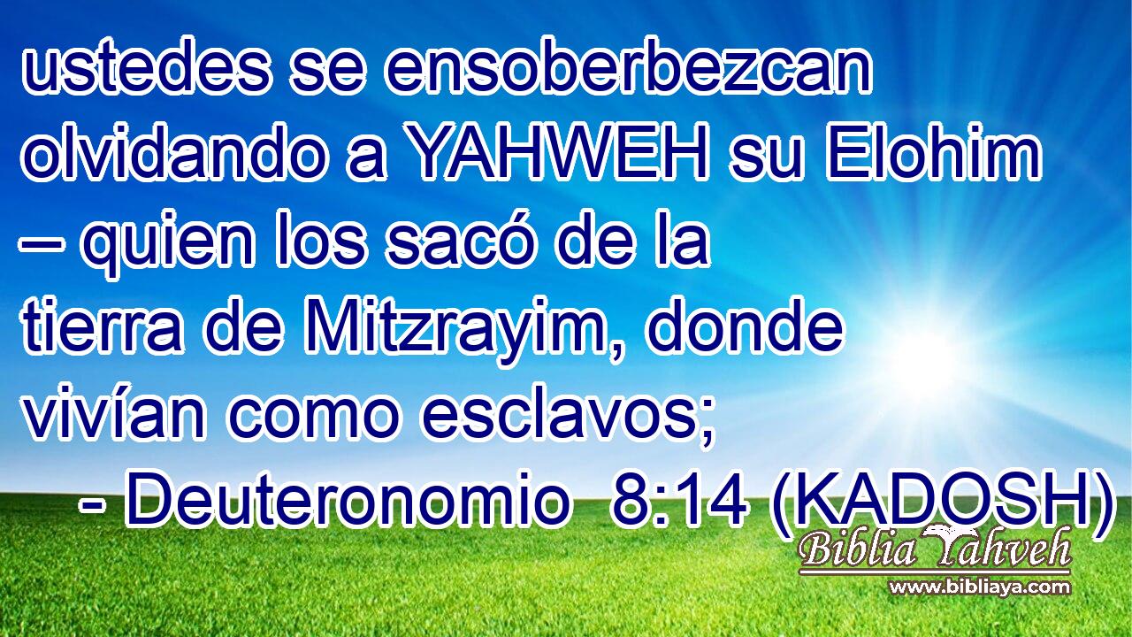  ustedes se ensoberbezcan olvidando a YAHWEH su Elohim – quien los sacó de la tierra de Mitzrayim, donde vivían como esclavos; 