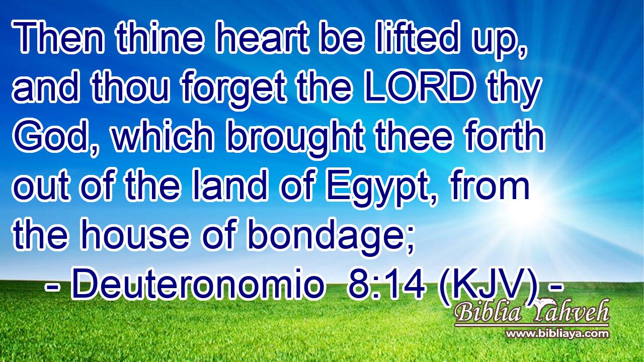 Then thine heart be lifted up, and thou forget the LORD thy God, which brought thee forth out of the land of Egypt, from the house of bondage;