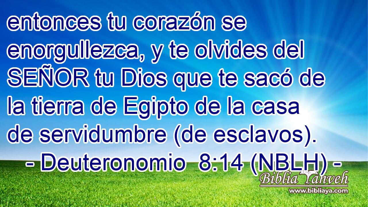  entonces tu corazón se enorgullezca, y te olvides del SEÑOR tu Dios que te sacó de la tierra de Egipto de la casa de servidumbre (de esclavos). 