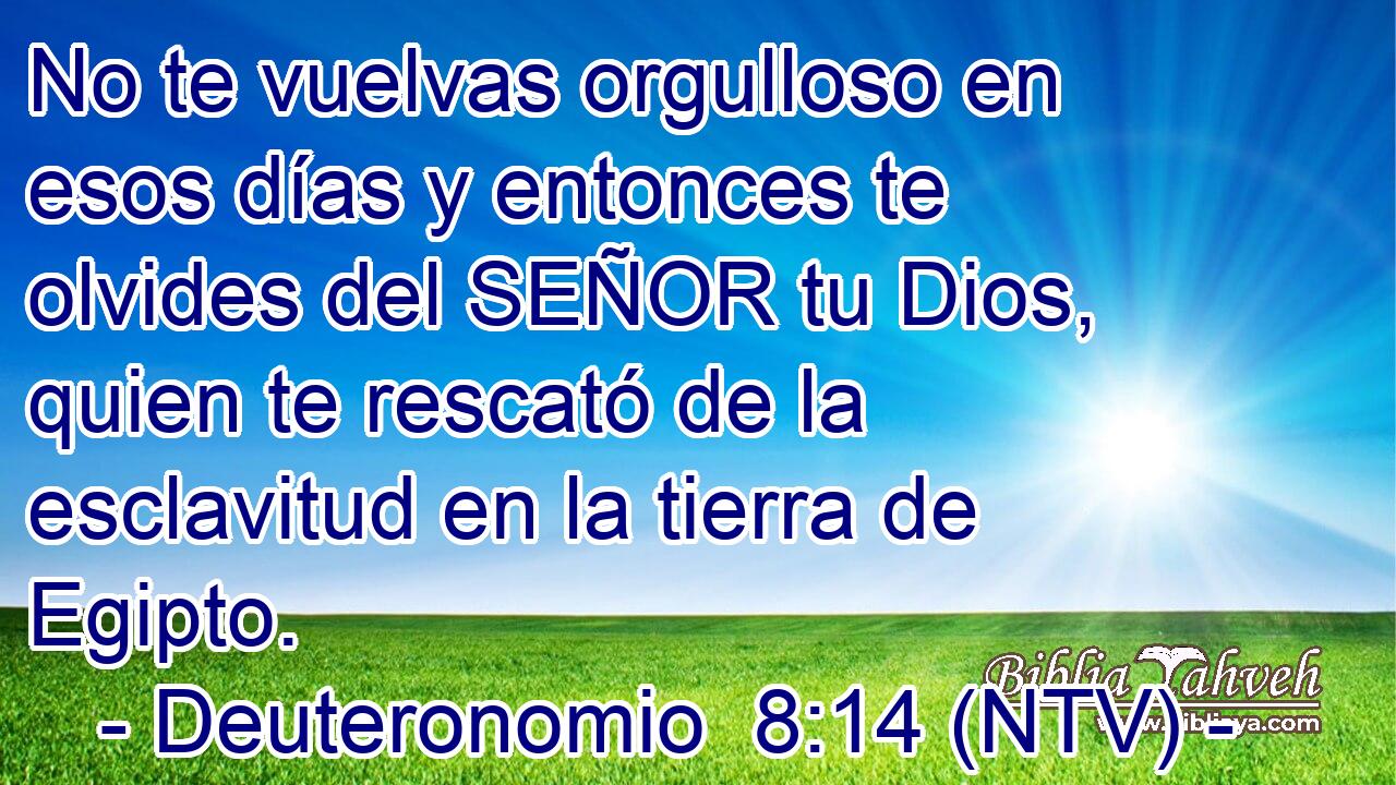 No te vuelvas orgulloso en esos días y entonces te olvides del SEÑOR tu Dios, quien te rescató de la esclavitud en la tierra de Egipto.