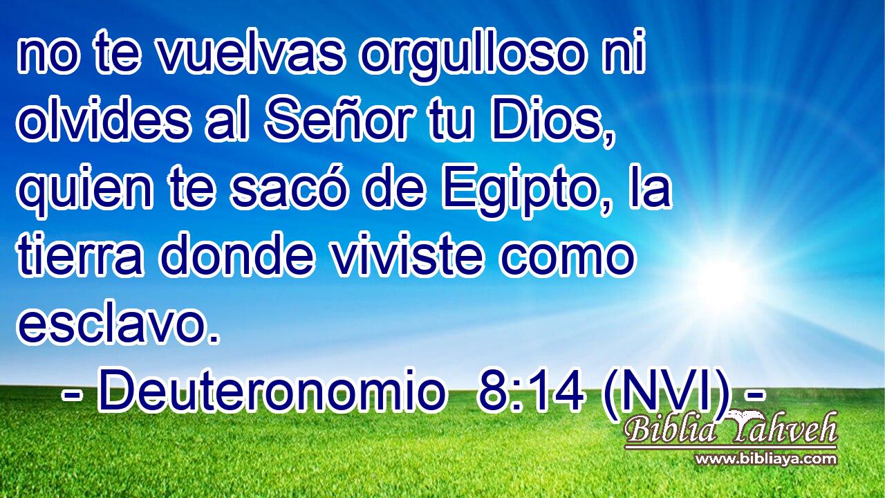  no te vuelvas orgulloso ni olvides al Señor tu Dios, quien te sacó de Egipto, la tierra donde viviste como esclavo. 