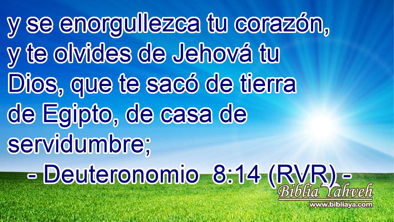 y se enorgullezca tu corazón, y te olvides de Jehová tu Dios, que te sacó de tierra de Egipto, de casa de servidumbre;