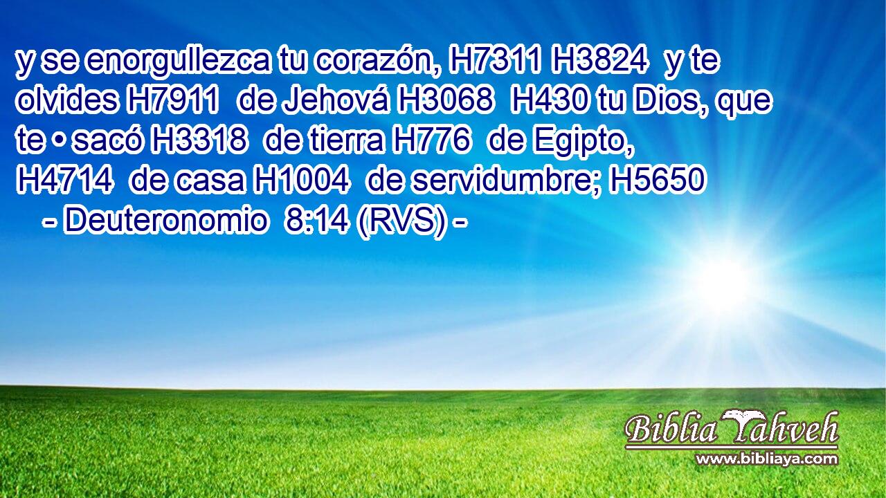 y se enorgullezca tu corazón, H7311 H3824  y te olvides H7911  de Jehová H3068  H430 tu Dios, que te • sacó H3318  de tierra H776  de Egipto, H4714  de casa H1004  de servidumbre; H5650  