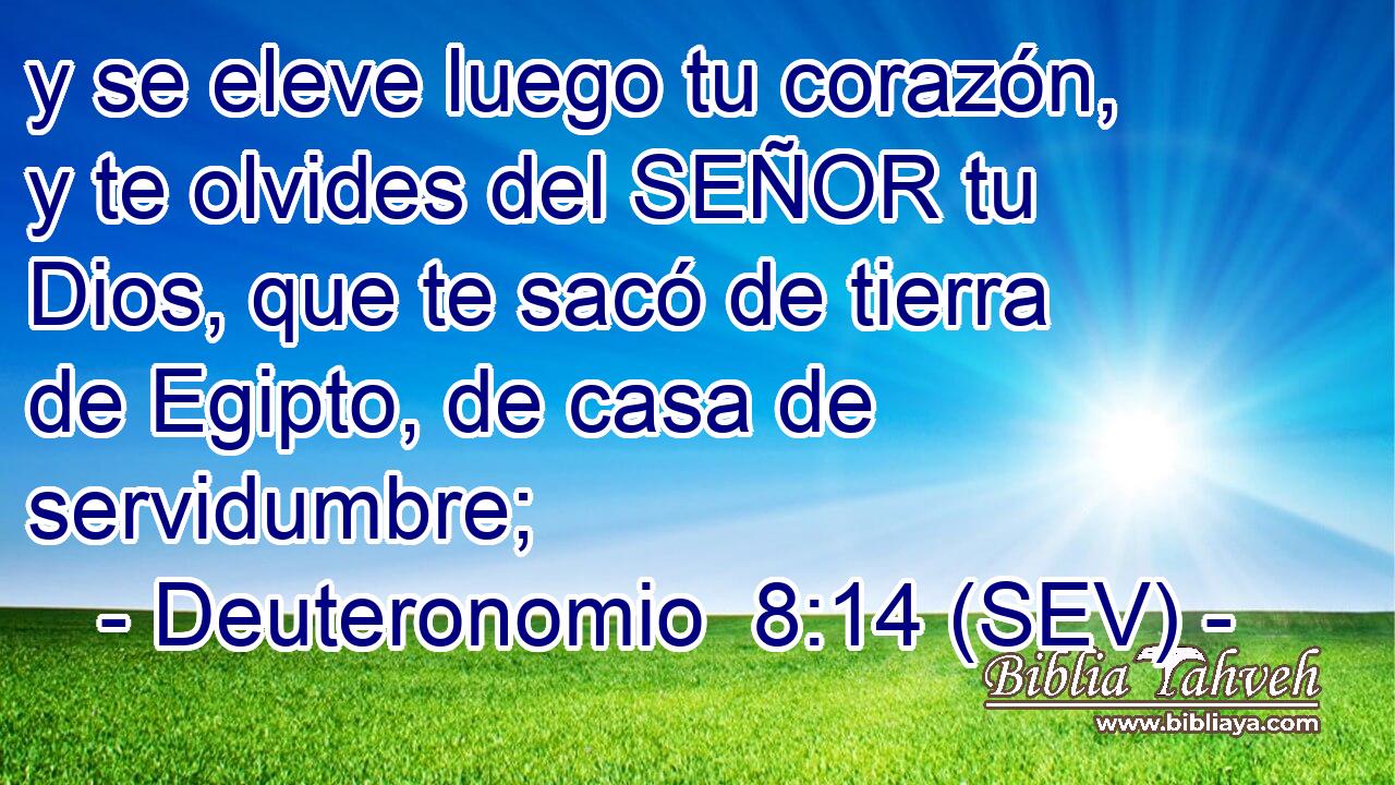 y se eleve luego tu corazón, y te olvides del SEÑOR tu Dios, que te sacó de tierra de Egipto, de casa de servidumbre;