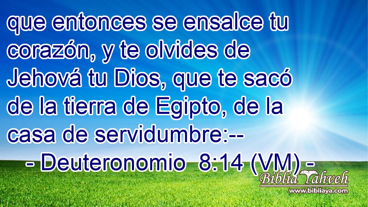  que entonces se ensalce tu corazón, y te olvides de Jehová tu Dios, que te sacó de la tierra de Egipto, de la casa de servidumbre:-- 