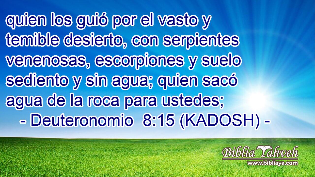  quien los guió por el vasto y temible desierto, con serpientes venenosas, escorpiones y suelo sediento y sin agua; quien sacó agua de la roca para ustedes; 