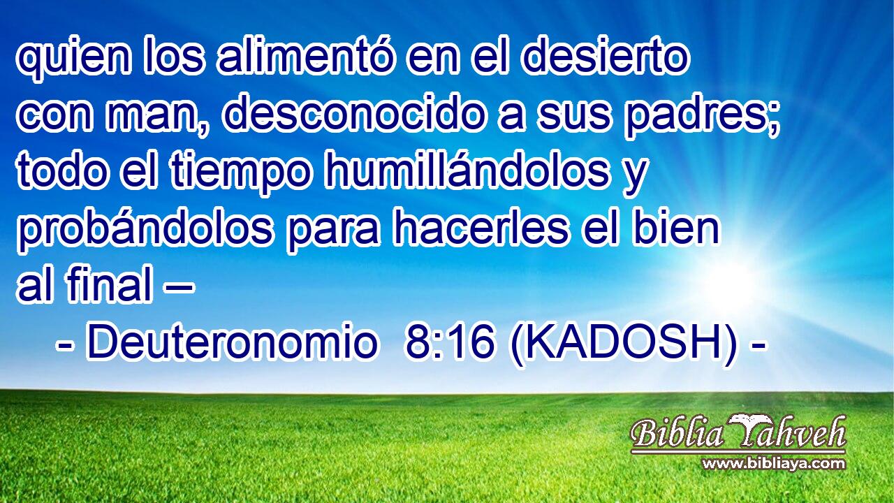  quien los alimentó en el desierto con man, desconocido a sus padres; todo el tiempo humillándolos y probándolos para hacerles el bien al final – 