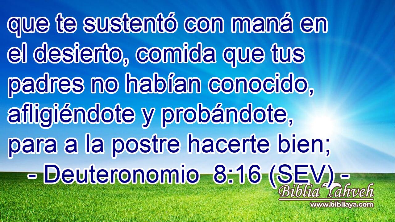 que te sustentó con maná en el desierto, comida que tus padres no habían conocido, afligiéndote y probándote, para a la postre hacerte bien;