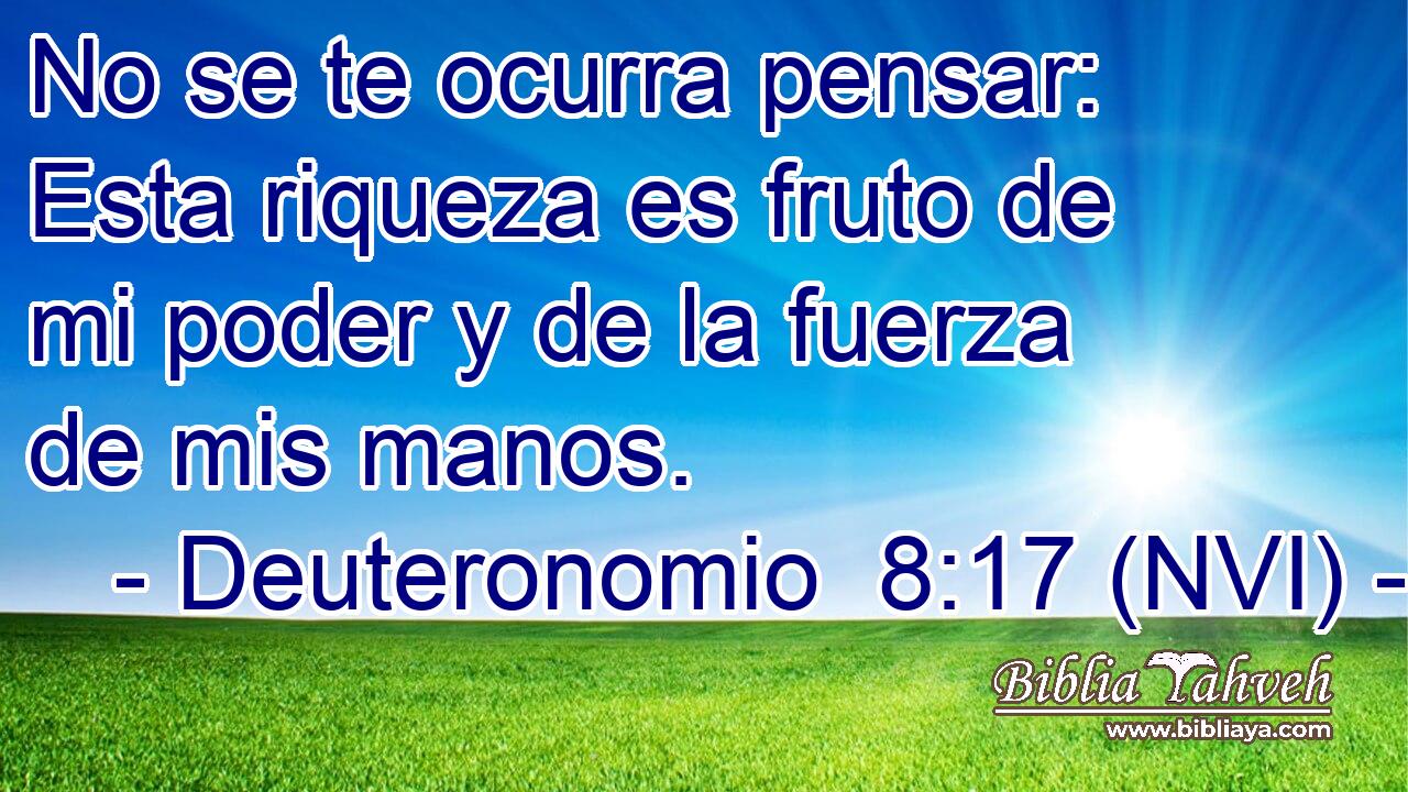  No se te ocurra pensar: Esta riqueza es fruto de mi poder y de la fuerza de mis manos. 