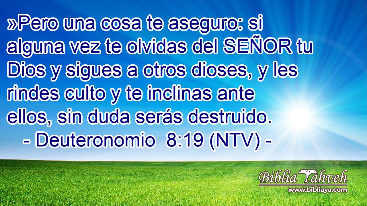 »Pero una cosa te aseguro: si alguna vez te olvidas del SEÑOR tu Dios y sigues a otros dioses, y les rindes culto y te inclinas ante ellos, sin duda serás destruido.