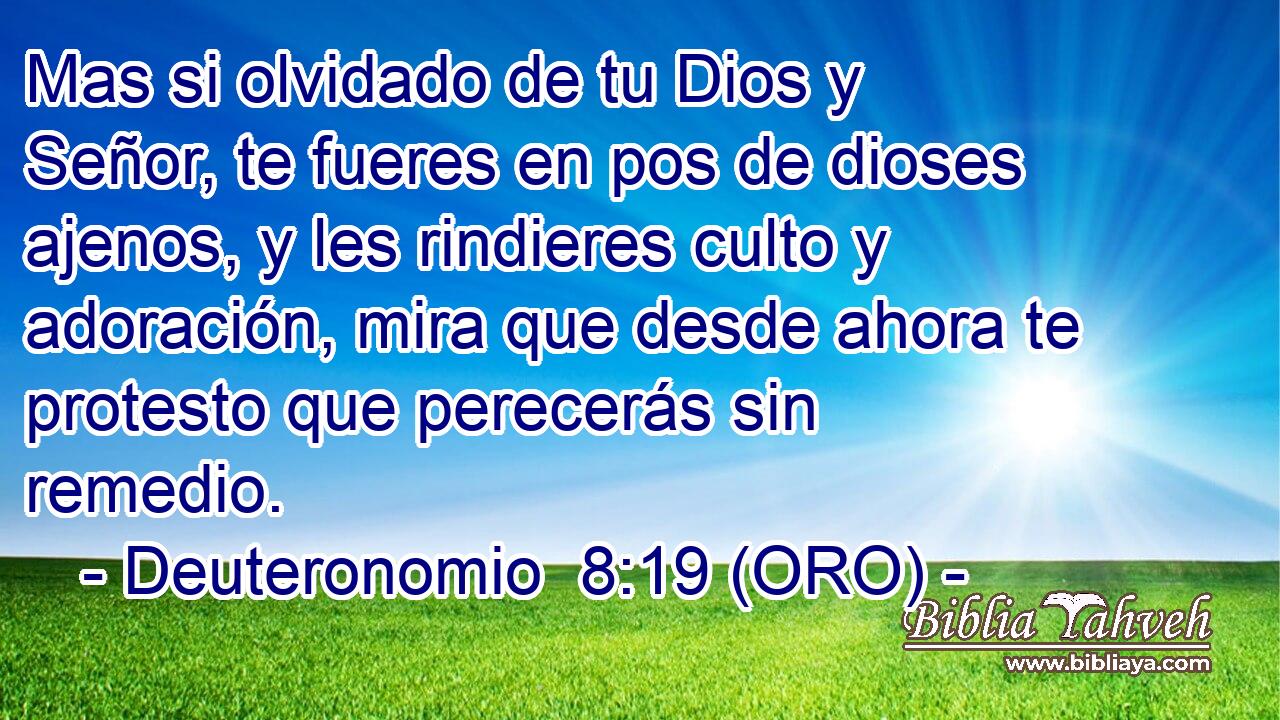  Mas si olvidado de tu Dios y Señor, te fueres en pos de dioses ajenos, y les rindieres culto y adoración, mira que desde ahora te protesto que perecerás sin remedio. 