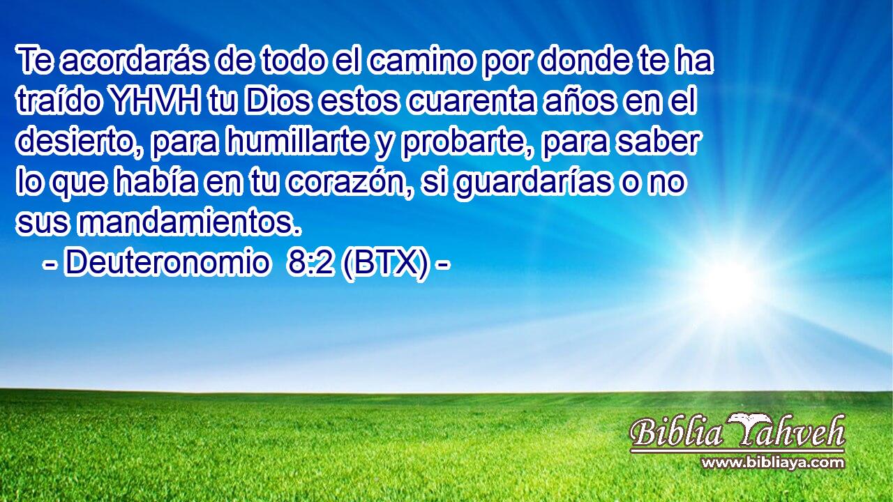 Te acordarás de todo el camino por donde te ha traído YHVH tu Dios estos cuarenta años en el desierto, para humillarte y probarte, para saber lo que había en tu corazón, si guardarías o no sus mandamientos.